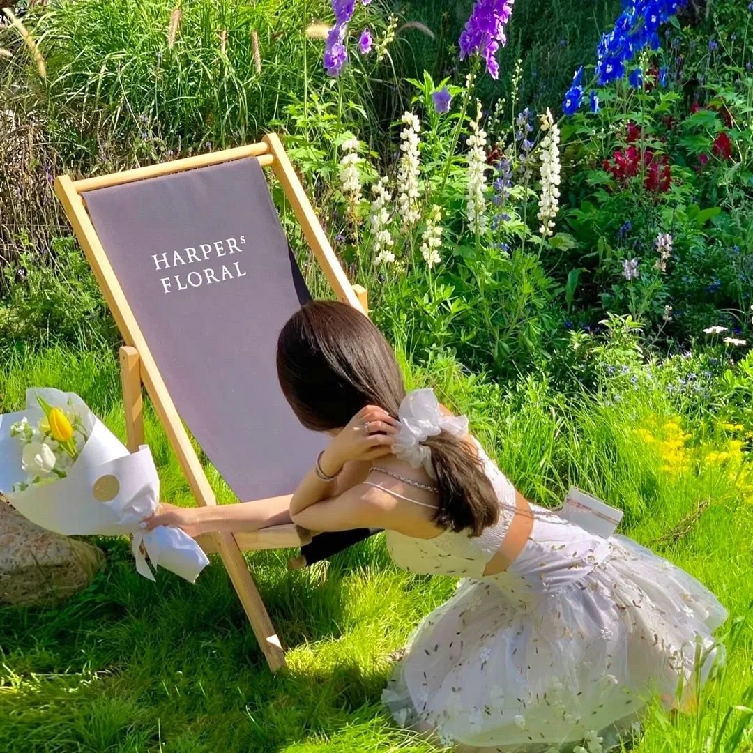 凉生，我们可不可以不忧伤