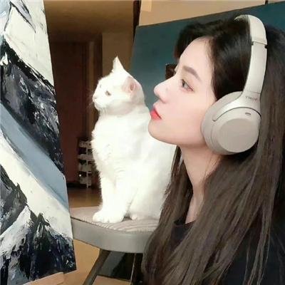 我是希斯·莱杰